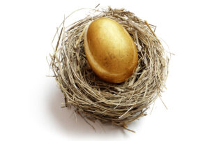 Golden Nest Egg