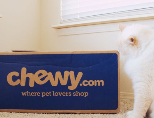 Chewy Misses on Revenue, Surprises on Earnings: 3 Things Investors Need to Know as the Stock Falls