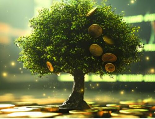 THE AUSTRALIAN BLUE-CHIP DIVIDEND PAYERS!